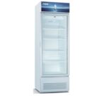 Mika Showcase Chiller, 220L, White & Grey
