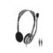 Logitech H110 GRAY/SILVER - Dual Plug (3.5)