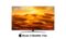 LG QNED | 75 Inch | QNED91 series| WebOS22 |